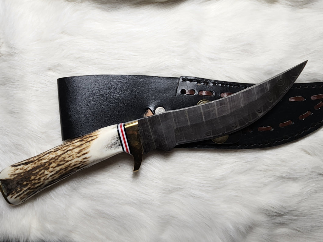 Deer Antler Curved Damascus Knife w/ Leather Sheath